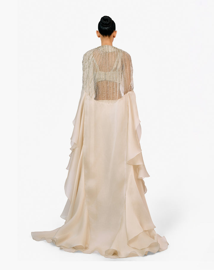 The Lunaris Saree Gown